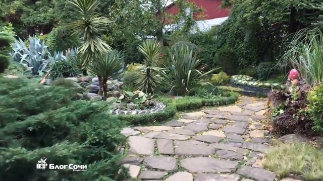 Новый сквер у Зимнего театра в Сочи смотреть онлайн