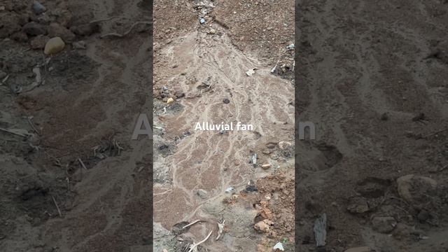 Backyard Source to Sink River System #fluvial #AlluvialFan #IncisedValley #sedimentology #flume смотреть онлайн