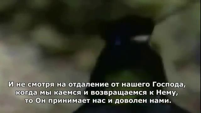 Красивое дуа советую всем послушать смотреть онлайн