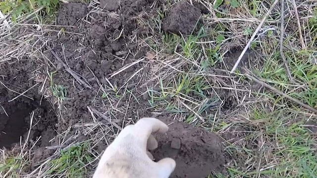 День ОХ... каких находок с XP Deus II 2 Дуся 2 Деус 2