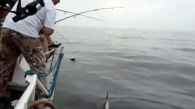 Ловля трески в Балтийском море Калининградская область 10.09.16. смотреть онлайн
