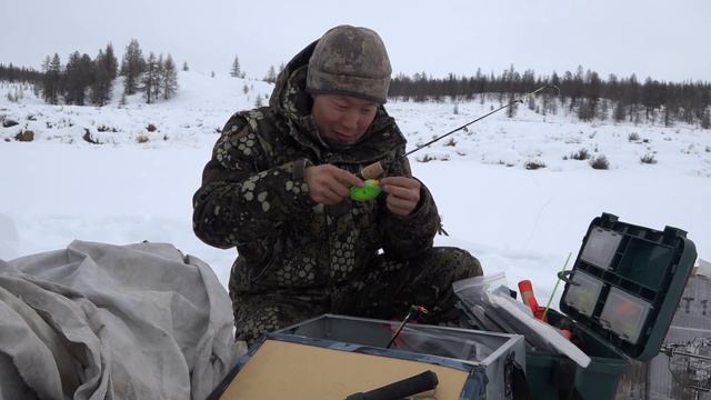 Золотая рыбка Оймякона смотреть онлайн