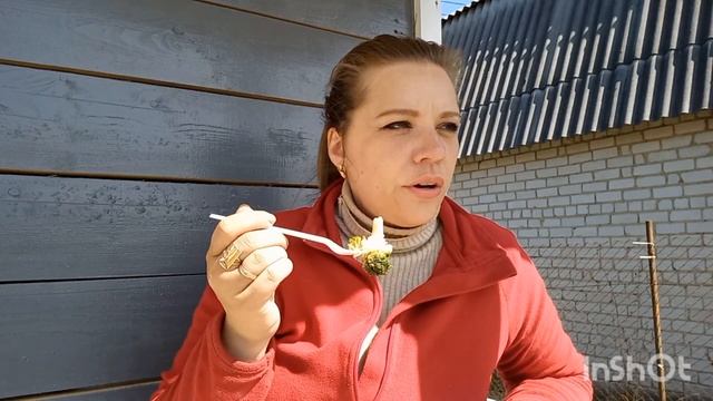 Купили заброшенную дачу(сезон 2№8)Прикупила гладиолусы /Привезла и высадила рассаду / смотреть онлайн