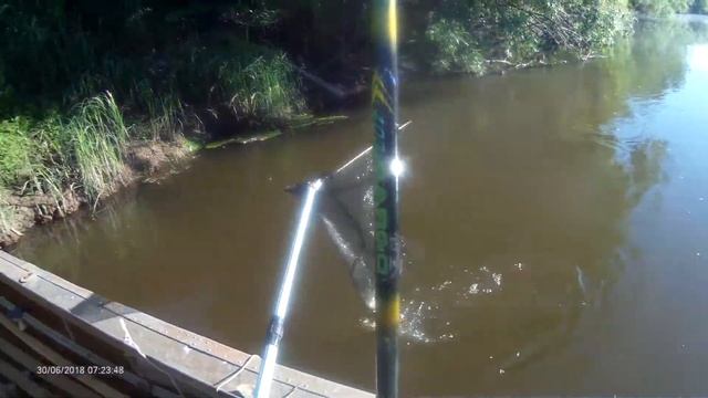 Язь - рыба чьей то мечты смотреть онлайн