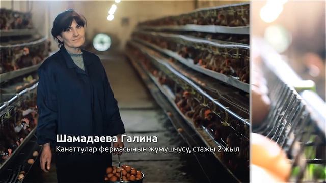 Горнодобывающий сектор Кыргызстана_кырг смотреть онлайн
