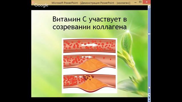 Полезно ли пить коллаген? Елена Бахтина смотреть онлайн