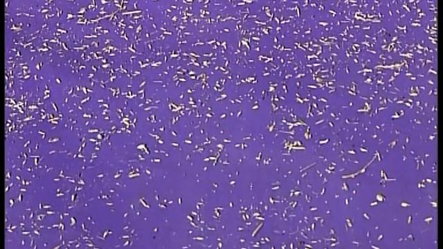 Сепарирующая техника "АЛМАЗ" смотреть онлайн