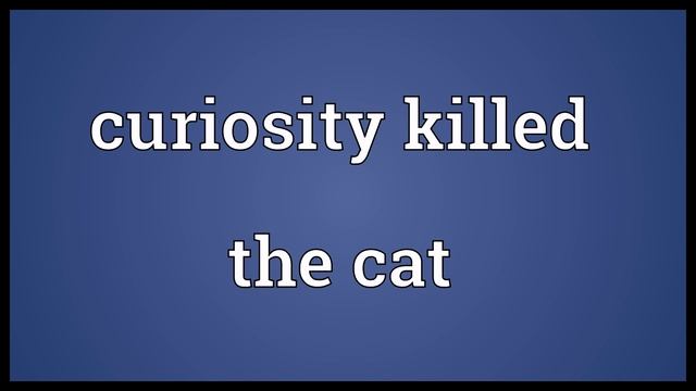 Curiosity killed the cat Meaning смотреть онлайн