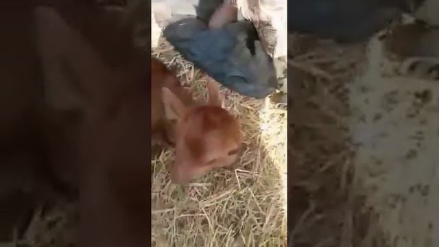 Как это можно назвать смотреть онлайн