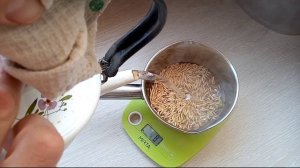 Отвар овса при заболевании диабетом второго типа. Эффективное народное средство.