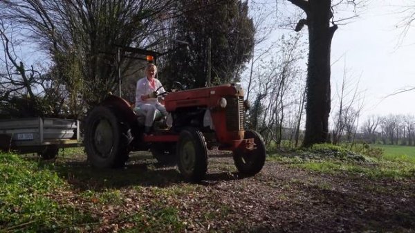 Rescuing a Forgotten Treasure: Chateau Renovation Project