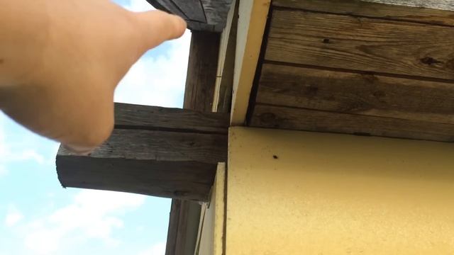 Утепление дома пенополистиролом. Прикол) House warming Styrofoam. Joke) смотреть онлайн