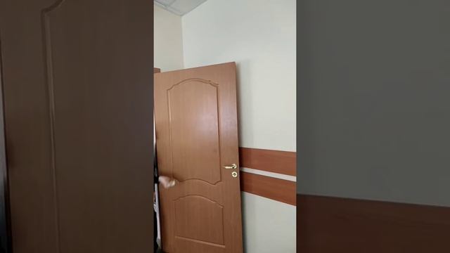 Когда нечего делать в школе, лучшие аскорбинко-флипы!!! смотреть онлайн