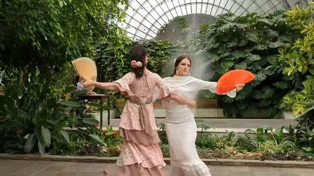 Фламенко в Оранжерее Таврического сада. Санкт-Петербург, 2019 смотреть онлайн