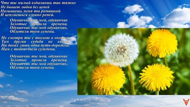 Одуванчик. Дед и старый баян. Первый блин. смотреть онлайн