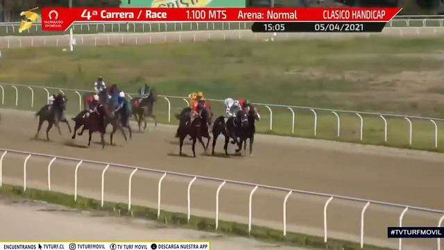 Clásico Handicap Pr. Avenida Pedro Montt смотреть онлайн