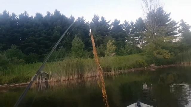 Evening Kayak Trip I Valens Conservation Area I Love Beyond Borders Outdoors смотреть онлайн