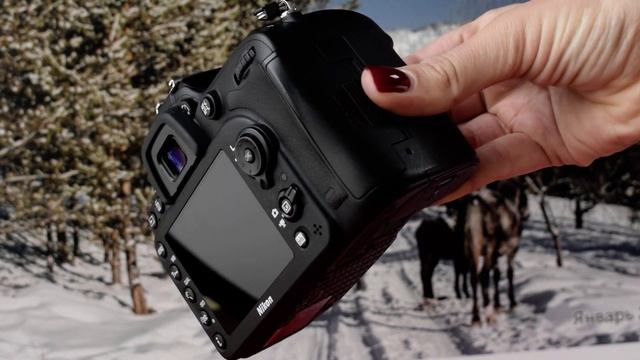 Зеркальный фотоаппарат Nikon D7200 смотреть онлайн