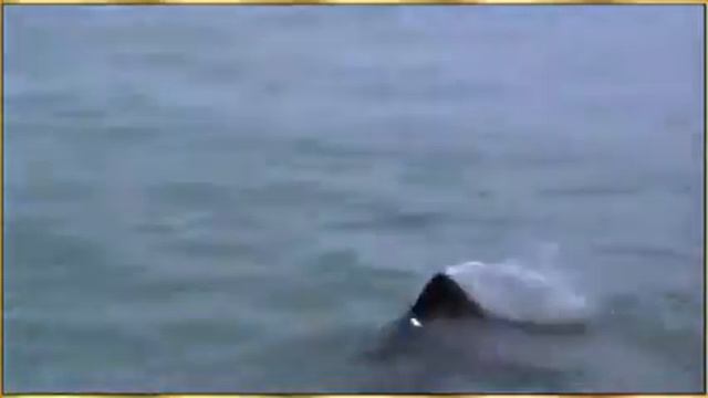 Видео создано по реальным событиям смотреть онлайн