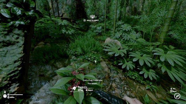 The Truth Revealed | Green Hell Gameplay | Story Mode | EP6 смотреть онлайн