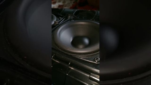 Bass, I love you on JBL XTREME 3 @Bassotronics смотреть онлайн