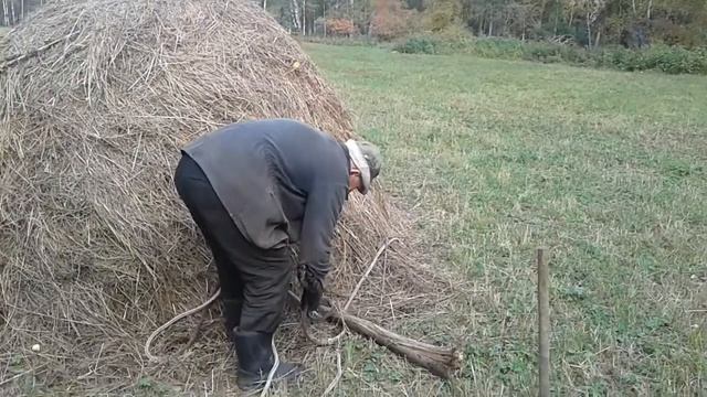 Быстрая перевозка копен сена смотреть онлайн