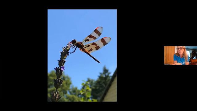 Secret Gardens Revealed 2022