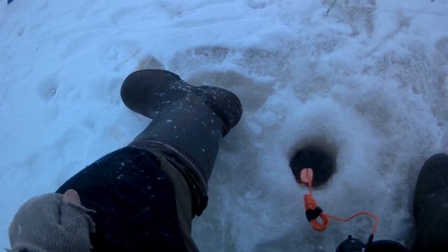 ШОК!!!Новый год на реке.Судак сошел с ума.Ловля судака на балансиры.Рыбалка с эхолотом ПРАКТИК. смотреть онлайн