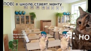 Пов: когда в школе ставят манту