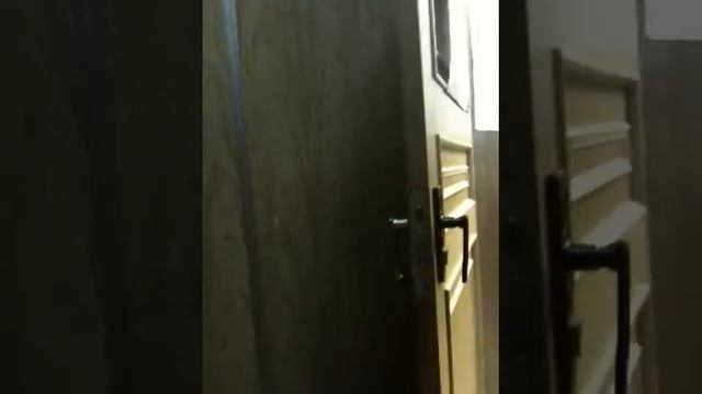 Обманы на выборах в госдуму России смотреть онлайн