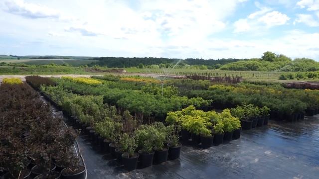 Полив спринклерами контейнерной площадки смотреть онлайн