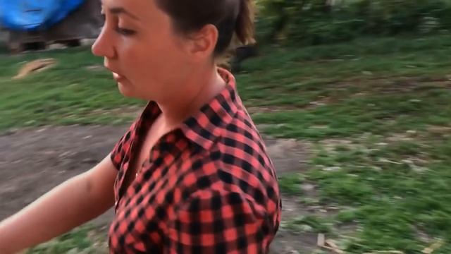 Результаты уборки чеснока 2018г. Results garlic harvesting 2018g. смотреть онлайн