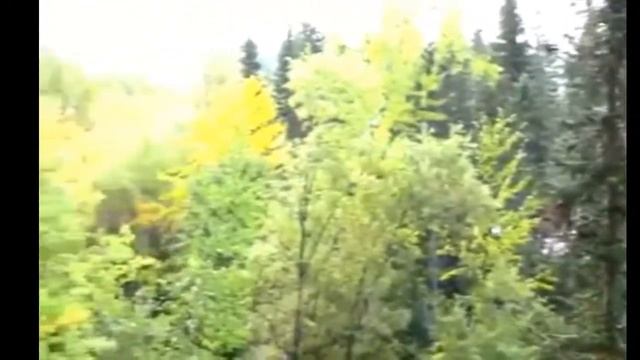 Посмотреть видео. Таёжная красота Красноярского края. смотреть онлайн