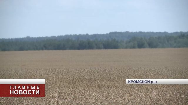 «Первый областной» помог орловчанину вернуть землю смотреть онлайн