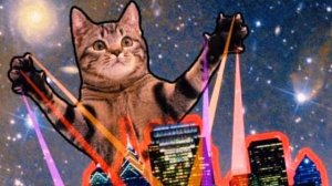 Welcome to Kitty city(slowed)