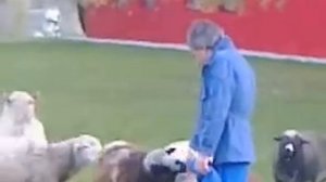 Умар Джабраилов