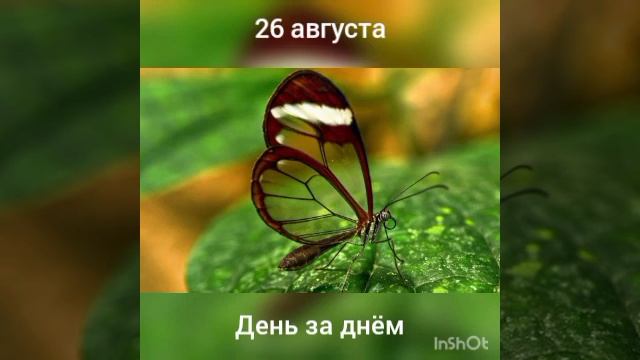 26 августа. День за днëм. смотреть онлайн