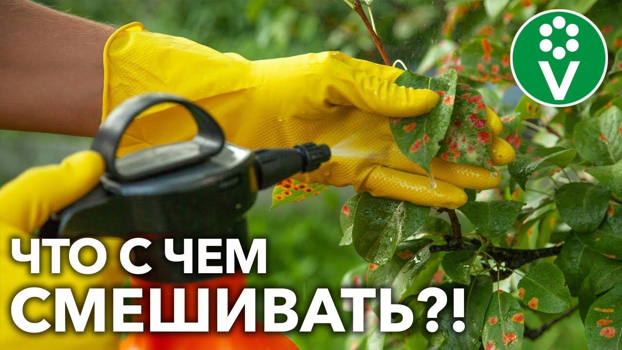 БАКОВЫЕ СМЕСИ. Совместимость препаратов – что МОЖНО, а что НЕЛЬЗЯ соединять в смесителе + РЕЦЕПТЫ смотреть онлайн