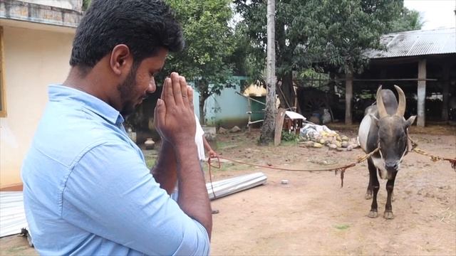 Thanjavur Tourist Places || Places You Must Visit || Chennai Vlogger Deepan - Tamil смотреть онлайн