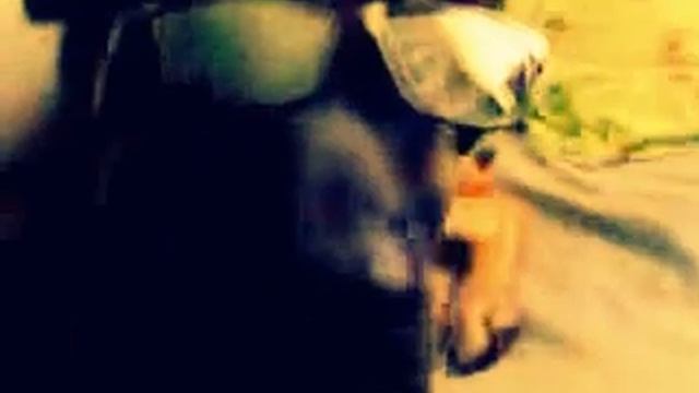 Мавриш Братиш одень очки:D смотреть онлайн