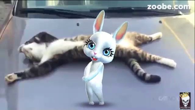 Тупые эти коты! смотреть онлайн