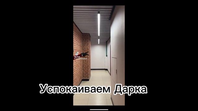 //Реакция AvA и AvM на видео\\ (Моя ау!) 🌿 смотреть онлайн