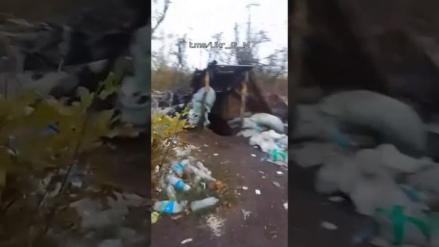 Хрюндель показывает свой свинарник в свинарнии уничтоженный вкс РФ смотреть онлайн