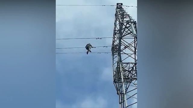 Установка виброгасителей на ВЛЭП смотреть онлайн