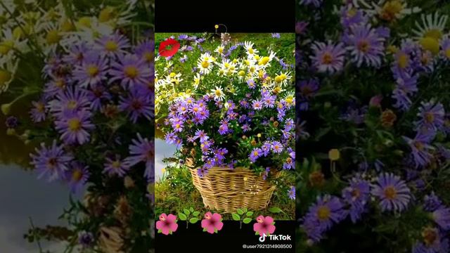 Пожелание доброго утра(5)