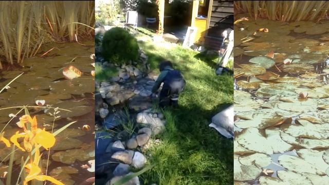 Никиточка - наше сокровище смотреть онлайн