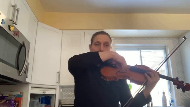 Advanced Beginner Violin Etude by G. Dulov