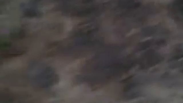 Танец Никиты и Собаки смотреть онлайн