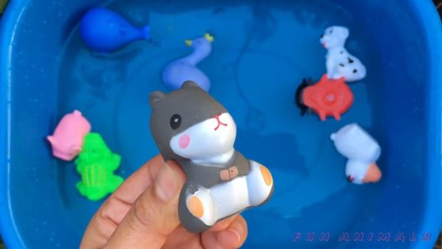 Узнайте о животных выучите имена животных на английском овца, морская черепаха, дельфин смотреть онлайн