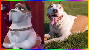 Дружные Мопсы в Реальной Жизни!